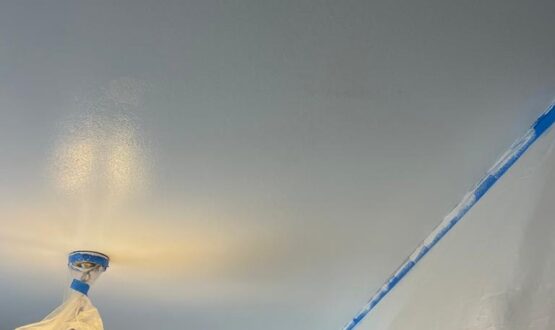 3aaef6e0-53c6-486d-8ff9-4f22c872ad6c