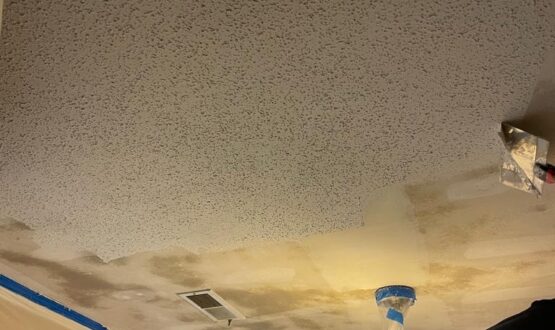 d6d0bf82-692f-49ed-9c27-5aba284aa34d